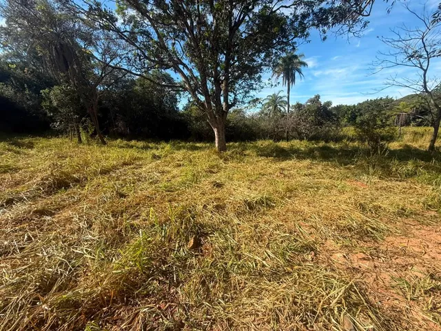 Imagem 10: FAZENDA À VENDA EM CARMÓPOLIS DE MINAS /Área total: 315 hectares