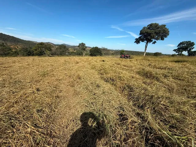 Imagem 12: FAZENDA À VENDA EM CARMÓPOLIS DE MINAS /Área total: 315 hectares