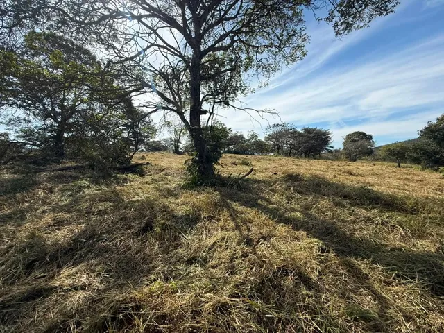 Imagem 13: FAZENDA À VENDA EM CARMÓPOLIS DE MINAS /Área total: 315 hectares