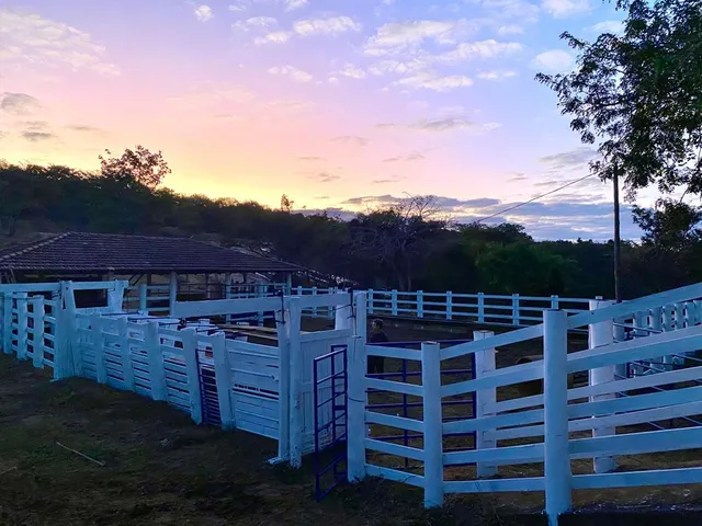 Imagem 8: Fazenda à Venda em Carmo do Cajuru ? 37 Hectares
