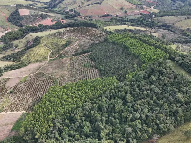 Imagem 9: Fazenda à Venda em Belo Vale/MG ? 42 Hectares