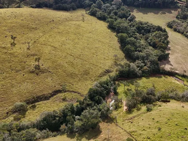 Imagem 2: Fazenda à Venda em Belo Vale/MG ? 42 Hectares