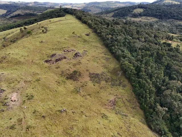 Imagem 3: Fazenda à Venda em Belo Vale/MG ? 42 Hectares