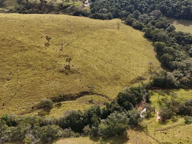 Imagem 4: Fazenda à Venda em Belo Vale/MG ? 42 Hectares