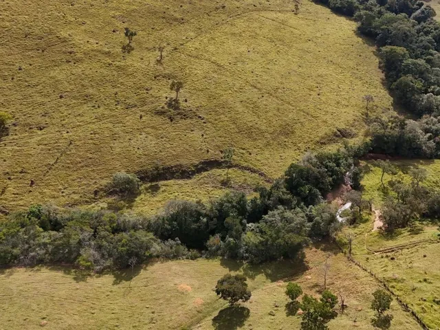Imagem 8: Fazenda à Venda em Belo Vale/MG ? 42 Hectares