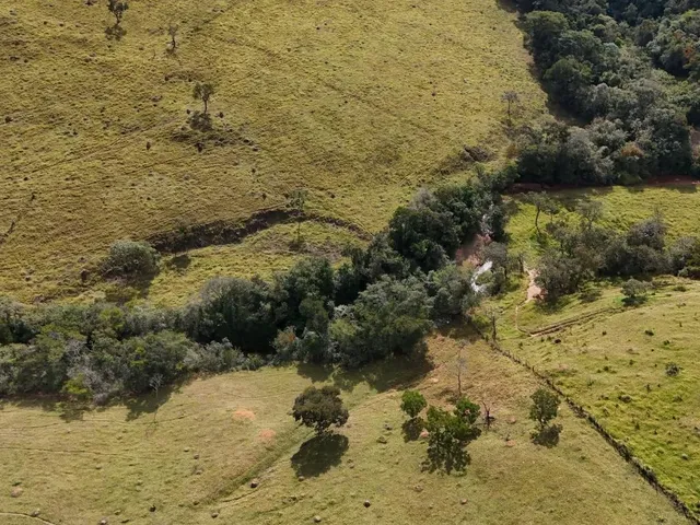 Imagem 10: Fazenda à Venda em Belo Vale/MG ? 42 Hectares