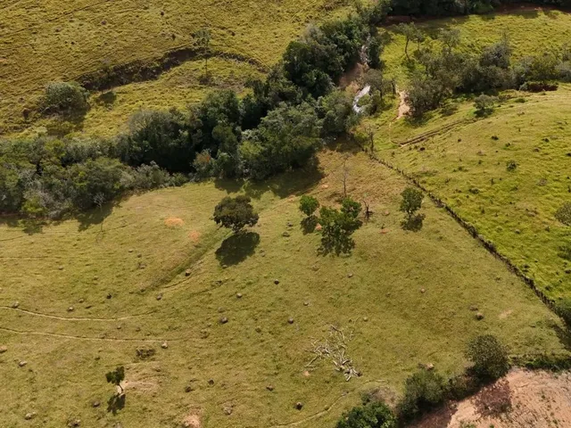 Imagem 12: Fazenda à Venda em Belo Vale/MG ? 42 Hectares