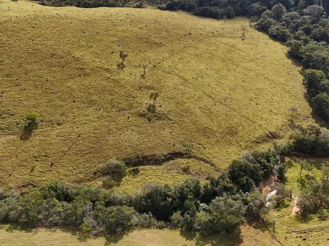Imagem 13: Fazenda à Venda em Belo Vale/MG ? 42 Hectares