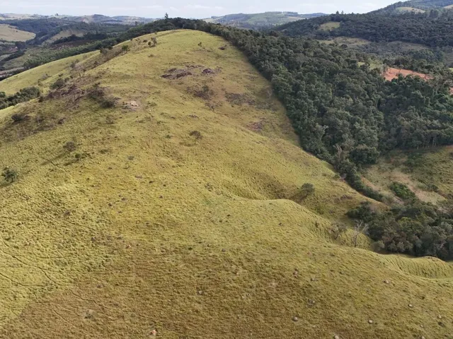 Imagem 14: Fazenda à Venda em Belo Vale/MG ? 42 Hectares