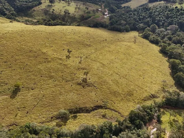 Imagem 15: Fazenda à Venda em Belo Vale/MG ? 42 Hectares