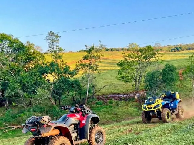 Imagem 3: FAZENDA À VENDA | 53 HECTARES