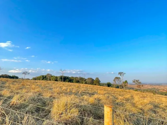 Imagem 5: FAZENDA À VENDA | 53 HECTARES
