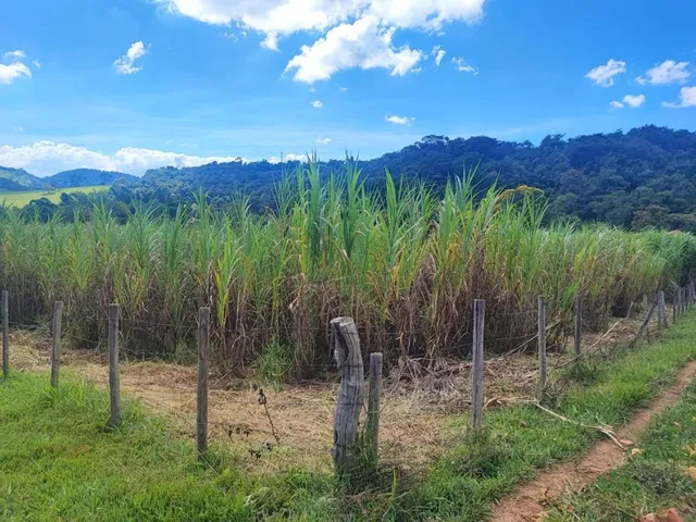 Imagem 16: Fazendinha a venda em Belo Vale/MG 18 Hectares com Estrutura Completa e Abundância de