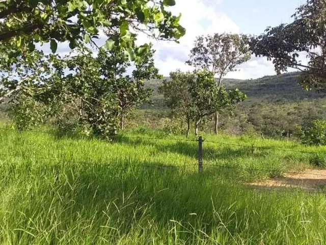 Imagem 4: OTIMA FAZENDA A VENDA EM TRÊS MARIAS 663 HECTARES de terra