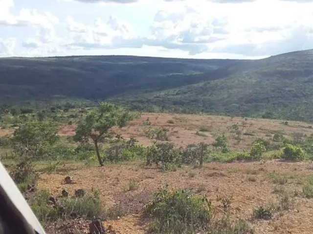 Imagem 3: OTIMA FAZENDA A VENDA EM TRÊS MARIAS 663 HECTARES de terra