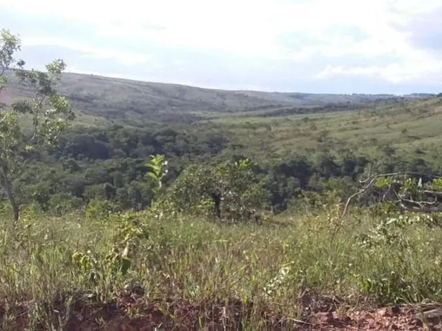 Imagem 6: OTIMA FAZENDA A VENDA EM TRÊS MARIAS 663 HECTARES de terra
