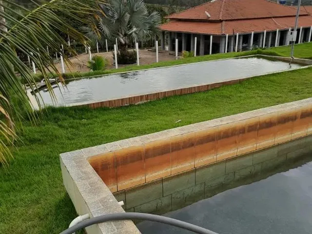 Imagem: Vendo uma fazendinha espetacular em Carmópolis