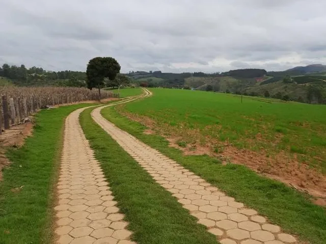 Imagem 8: Vendo uma fazendinha espetacular em Carmópolis de Minas/MG 35 hectares