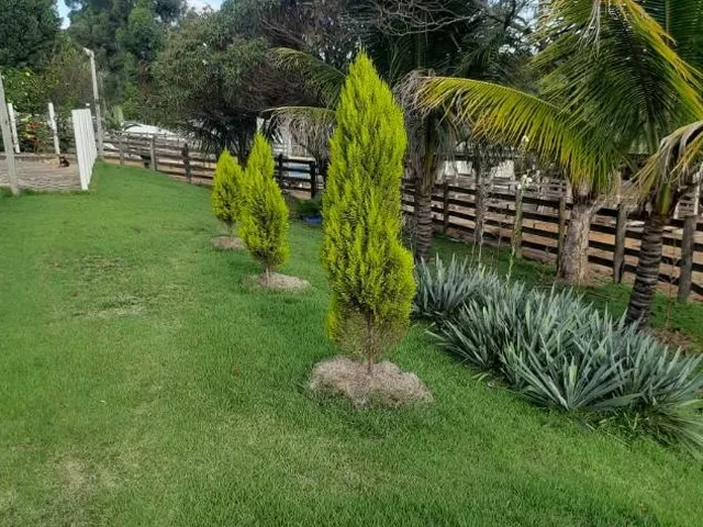 Imagem 2: Vendo uma fazendinha espetacular em Carmópolis de Minas/MG 35 hectares