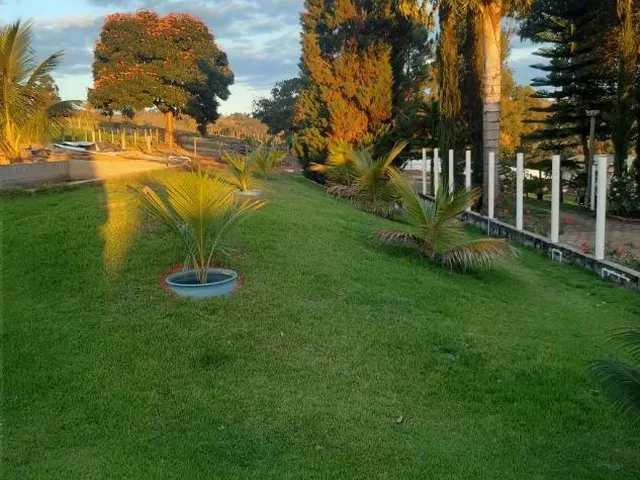 Imagem 4: Vendo uma fazendinha espetacular em Carmópolis de Minas/MG 35 hectares