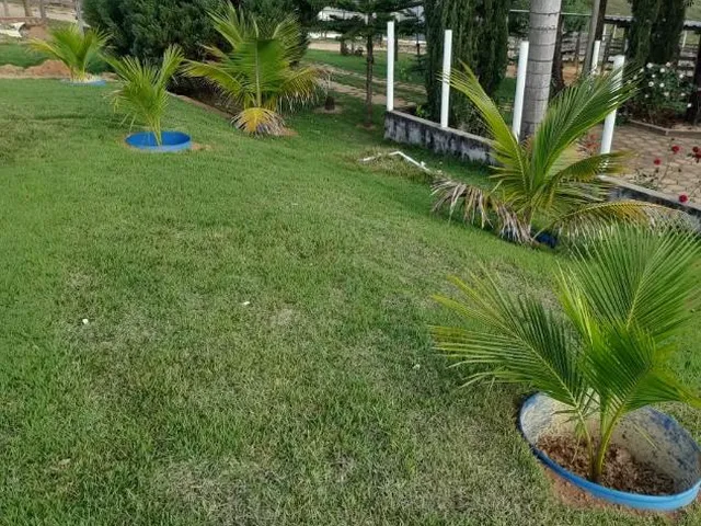 Imagem 5: Vendo uma fazendinha espetacular em Carmópolis de Minas/MG 35 hectares