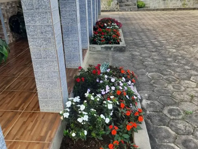 Imagem 12: Vendo uma fazendinha espetacular em Carmópolis de Minas/MG 35 hectares