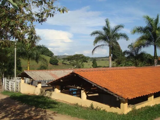 Imagem: Vendo uma excelente fazendinha em Crucilândia/MG
