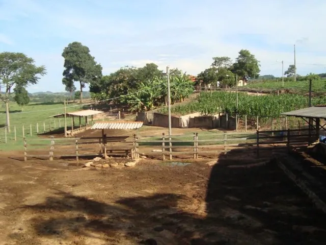 Imagem 7: Vendo uma excelente fazendinha em Crucilândia/MG Área total de 57 hectares