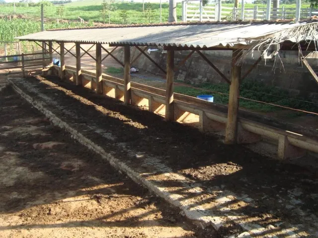 Imagem 6: Vendo uma excelente fazendinha em Crucilândia/MG Área total de 57 hectares