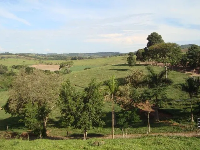 Imagem 2: Vendo uma excelente fazendinha em Crucilândia/MG Área total de 57 hectares