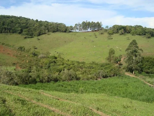 Imagem 3: Vendo uma excelente fazendinha em Crucilândia/MG Área total de 57 hectares