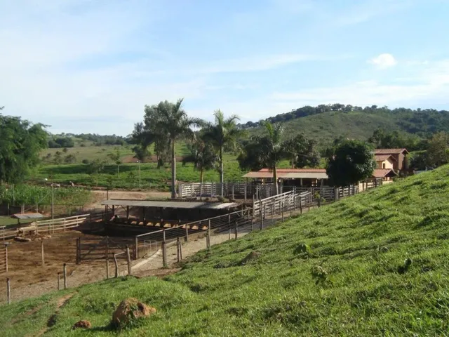 Imagem 4: Vendo uma excelente fazendinha em Crucilândia/MG Área total de 57 hectares