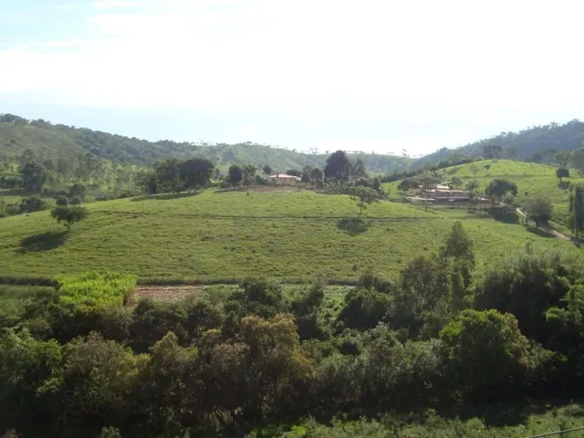 Imagem 9: Vendo uma excelente fazendinha em Crucilândia/MG Área total de 57 hectares