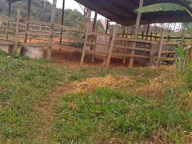 Imagem 5: VENDO FAZENDINHA NA REGIÃO DE Brumadinho / MG Área total de 14 hectares