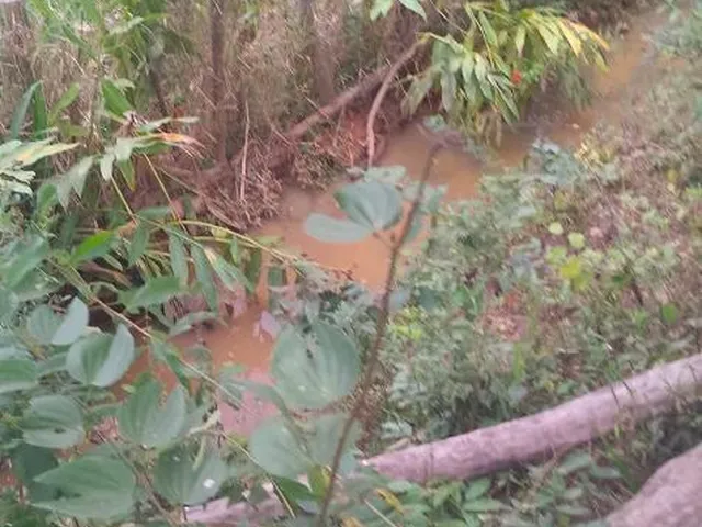 Imagem 2: VENDO FAZENDINHA NA REGIÃO DE Brumadinho / MG Área total de 14 hectares