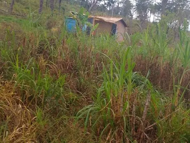 Imagem 4: VENDO FAZENDINHA NA REGIÃO DE Brumadinho / MG Área total de 14 hectares
