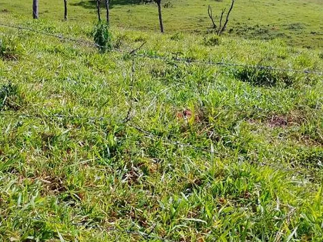 Imagem 10: VENDO FAZENDINHA NA REGIÃO DE Brumadinho / MG Área total de 14 hectares
