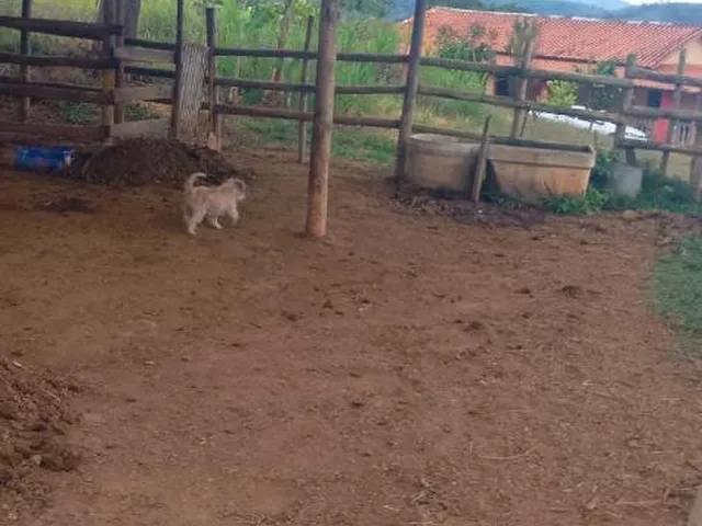 Imagem 11: VENDO FAZENDINHA NA REGIÃO DE Brumadinho / MG Área total de 14 hectares