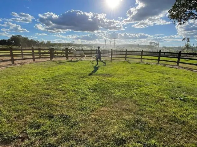 Imagem 12: Fazenda à Venda em Três Marias / MG 355 hectares de terra