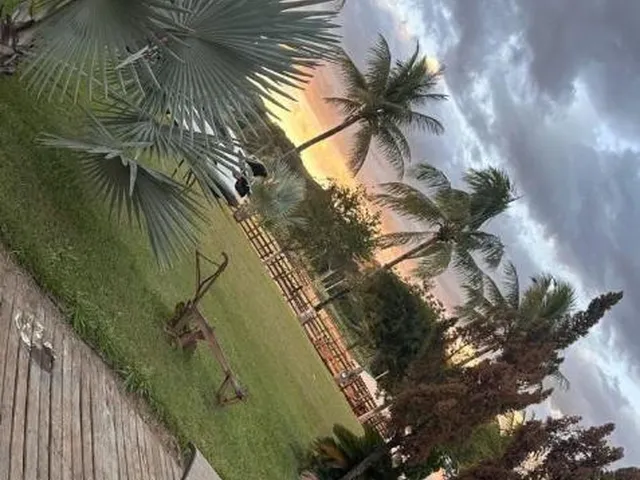 Imagem 4: Fazenda à Venda em Três Marias / MG 355 hectares de terra