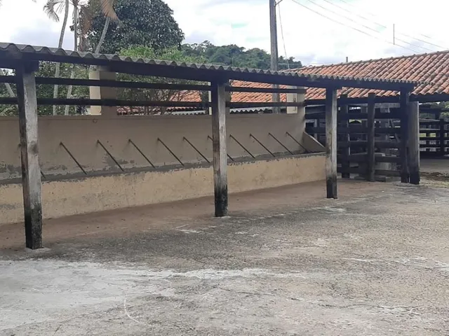 Imagem 3: Vendo excelente fazenda localizada no município de Itaúna/MG, com área total de 94