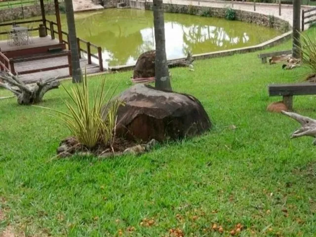 Imagem 15: Vendo excelente fazenda localizada no município de Itaúna/MG, com área total de 94