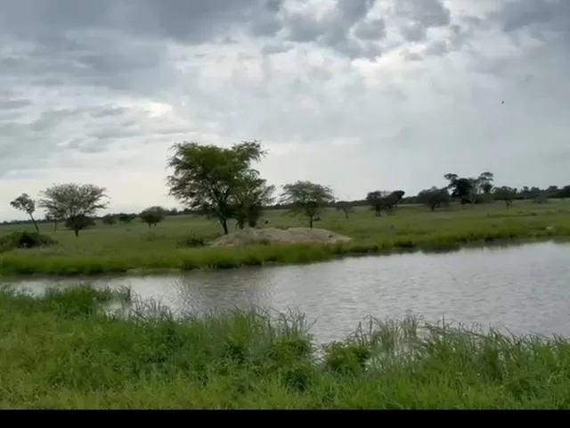 Imagem 9: Vendo excelente fazenda em Jaíba/MG ?área total de 3.150 hectares