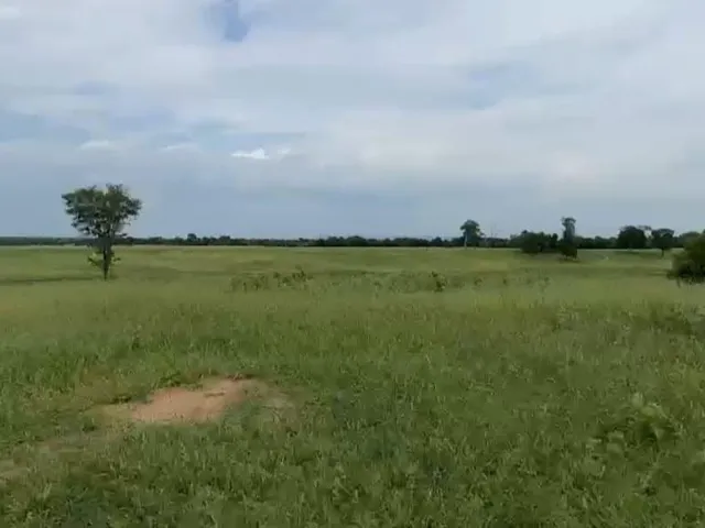 Imagem 4: Vendo excelente fazenda em Jaíba/MG ?área total de 3.150 hectares
