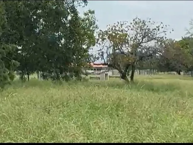 Imagem 6: Vendo excelente fazenda em Jaíba/MG ?área total de 3.150 hectares