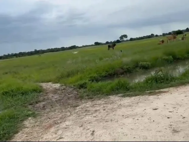 Imagem 7: Vendo excelente fazenda em Jaíba/MG ?área total de 3.150 hectares