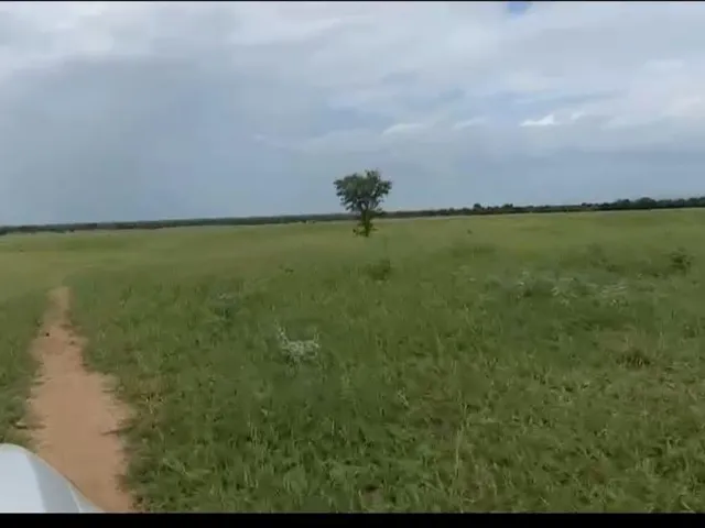 Imagem 10: Vendo excelente fazenda em Jaíba/MG ?área total de 3.150 hectares