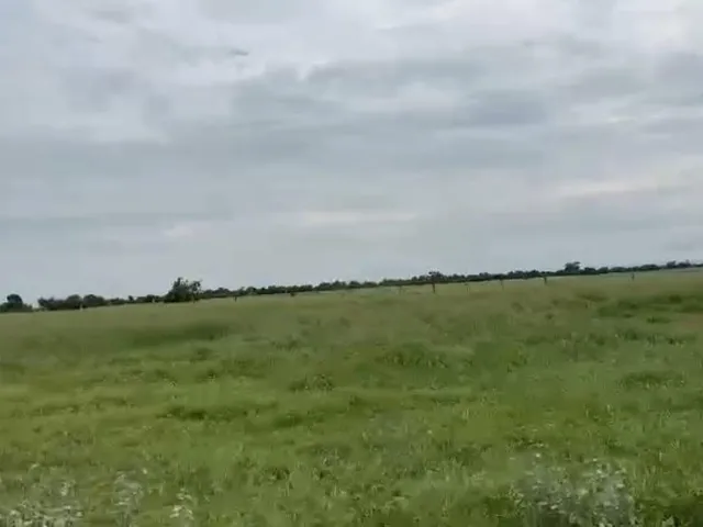 Imagem 12: Vendo excelente fazenda em Jaíba/MG ?área total de 3.150 hectares