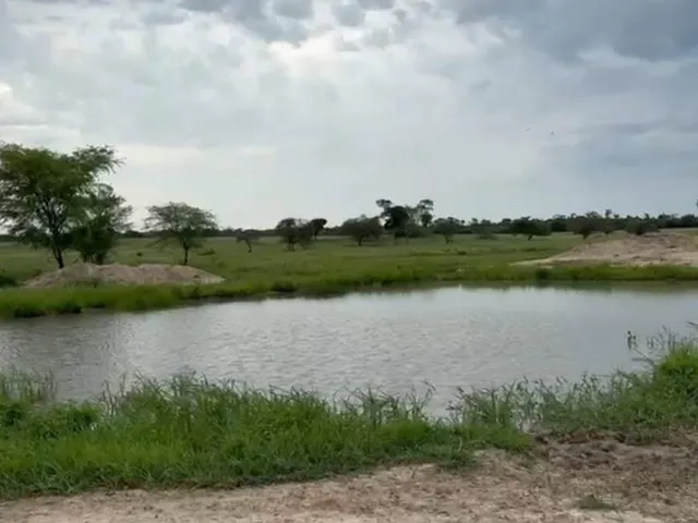 Imagem 13: Vendo excelente fazenda em Jaíba/MG ?área total de 3.150 hectares