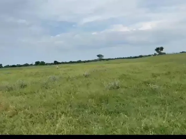 Imagem 14: Vendo excelente fazenda em Jaíba/MG ?área total de 3.150 hectares